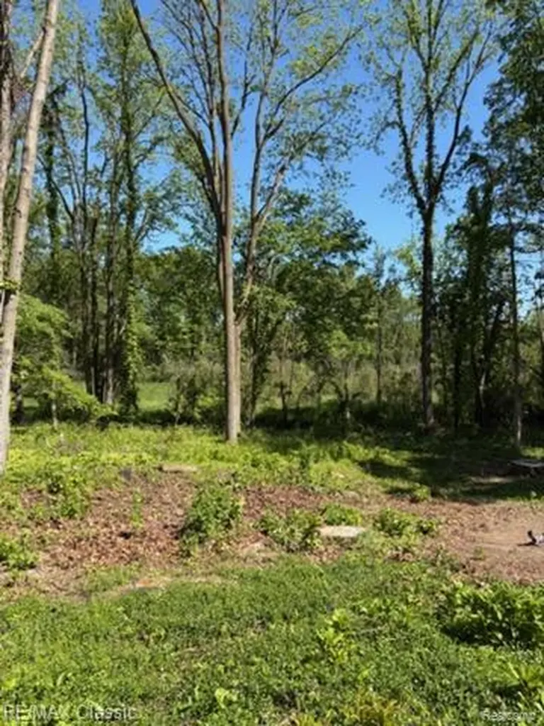 0000 Old Mill Road Hamburg Township MI 48169