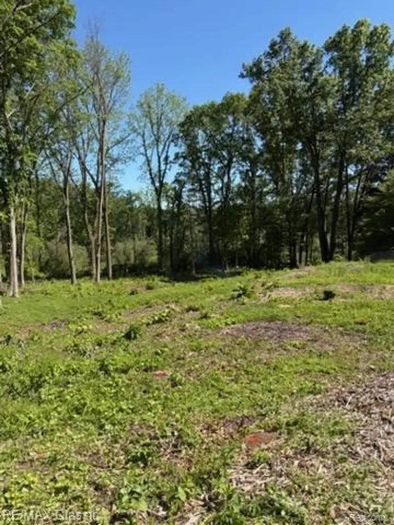 0000 Old Mill Road Hamburg Township MI 48169