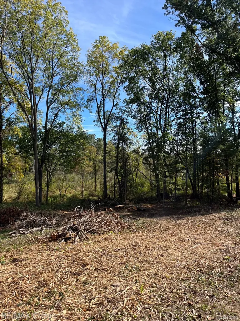 0000 Old Mill Road Hamburg Township MI 48169