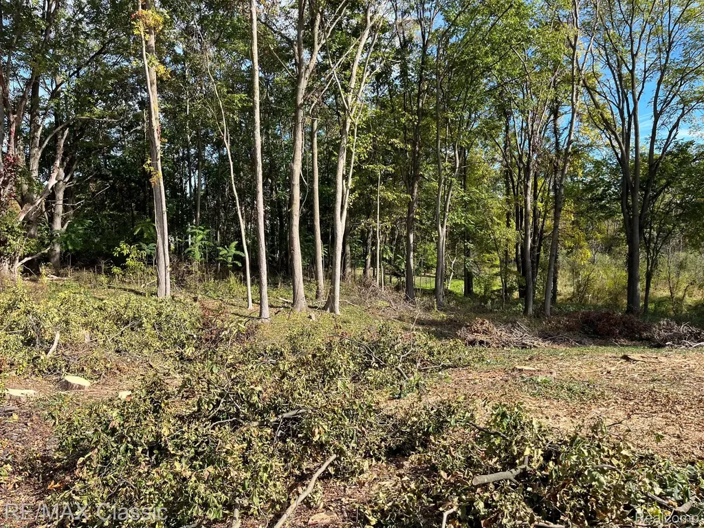 0000 Old Mill Road Hamburg Township MI 48169