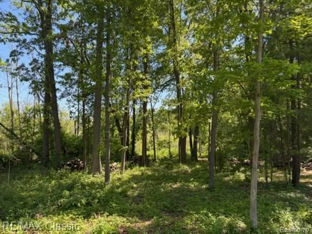0000 Old Mill Road Hamburg Township MI 48169