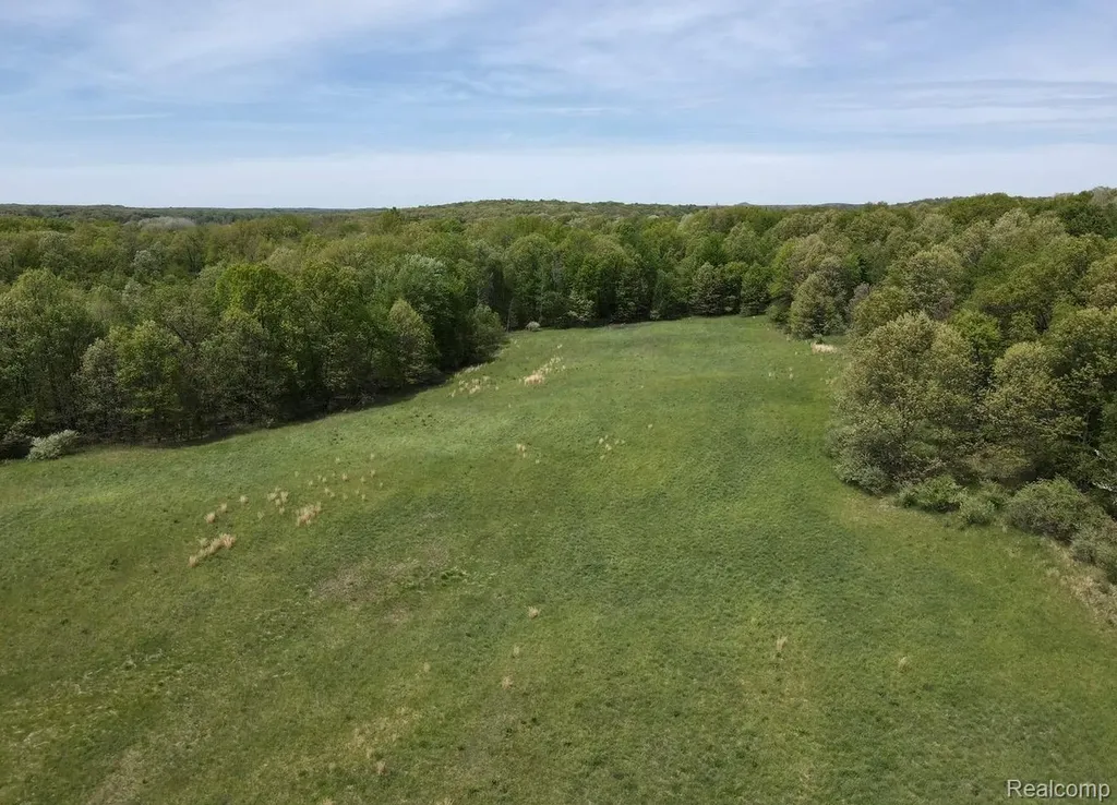 2320 Pool Road Rose Township MI 48442