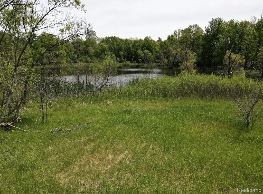 2320 Pool Road Rose Township MI 48442
