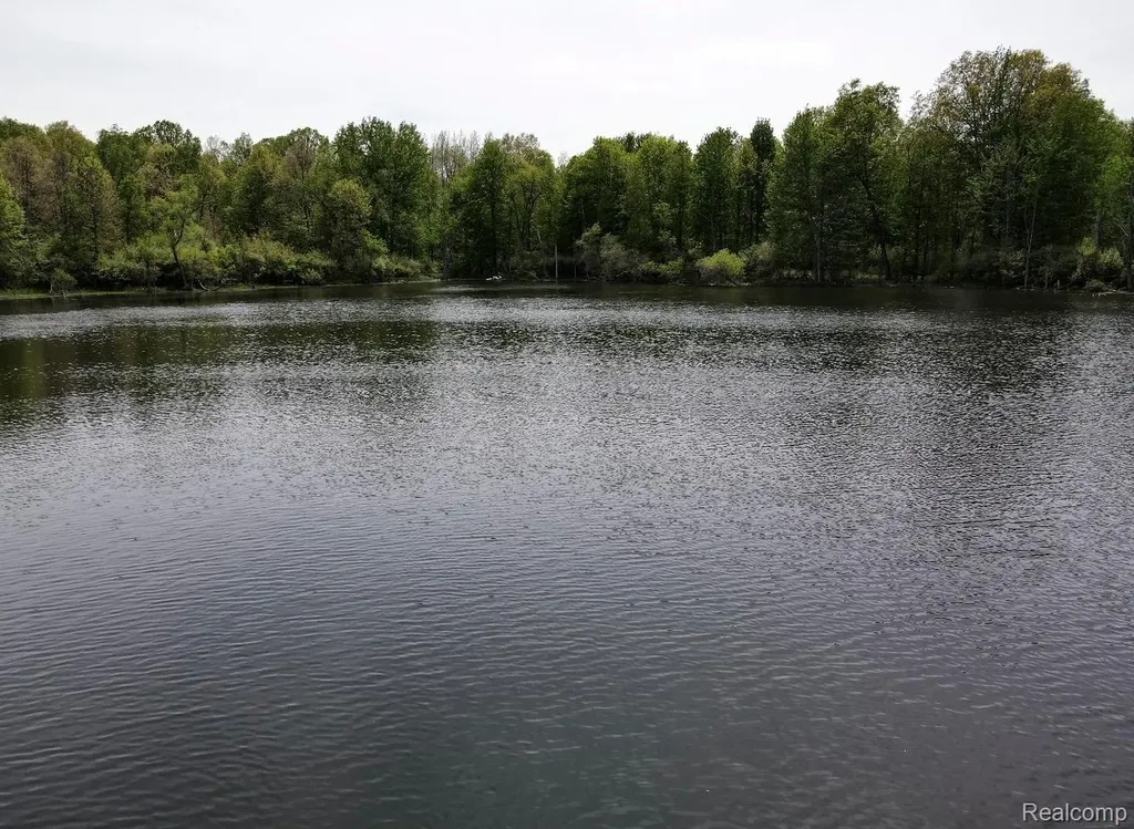 2320 Pool Road Rose Township MI 48442