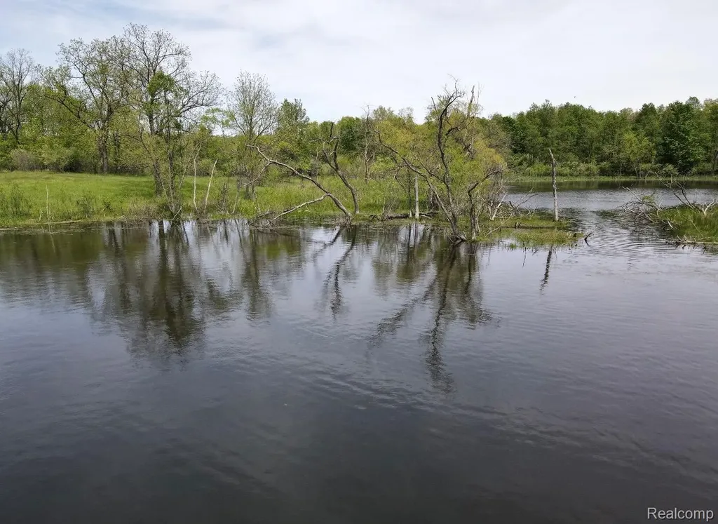 2320 Pool Road Rose Township MI 48442