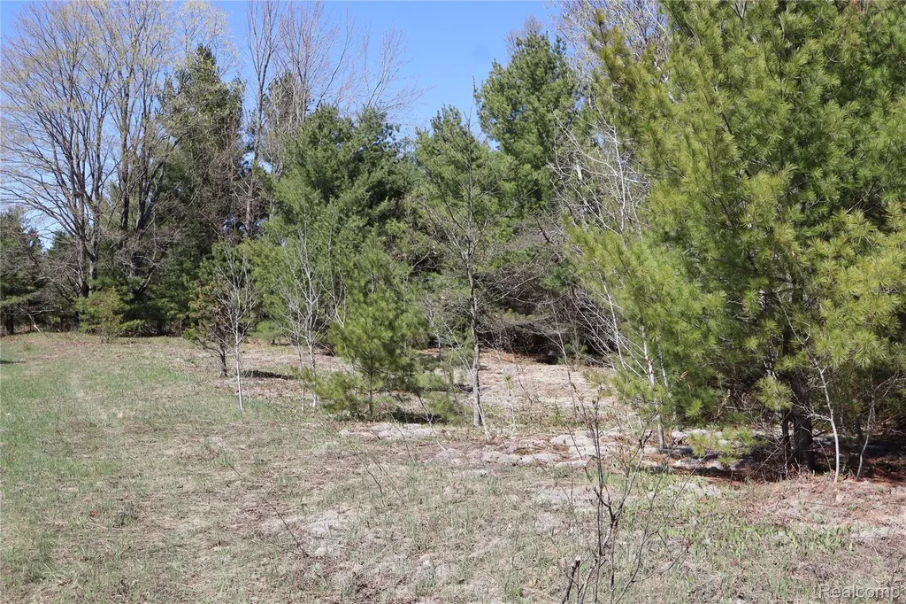 5575 E 26 Mile Road Pickford Township MI 49774