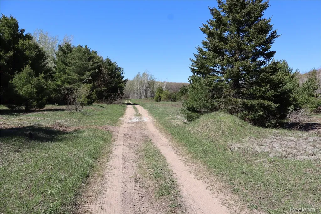 5575 E 26 Mile Road Pickford Township MI 49774