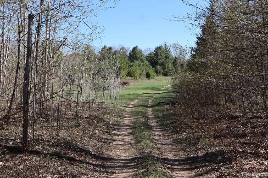 5575 E 26 Mile Road Pickford Township MI 49774