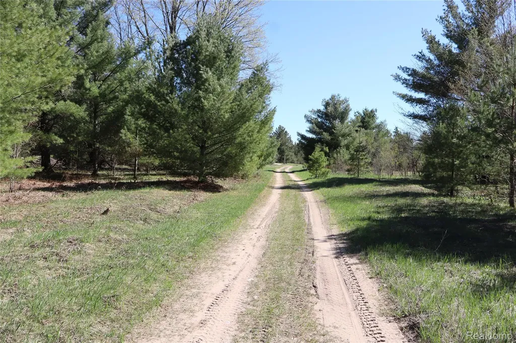 5575 E 26 Mile Road Pickford Township MI 49774