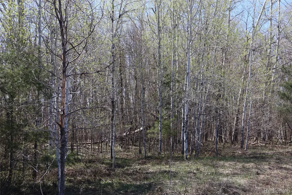 5575 E 26 Mile Road Pickford Township MI 49774