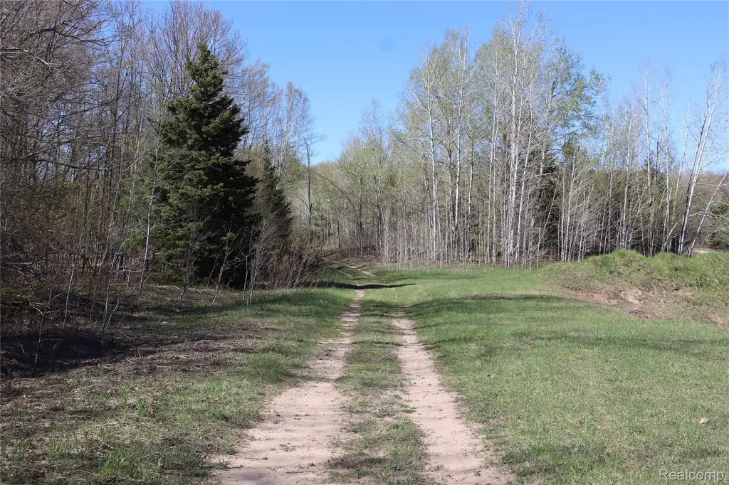 5575 E 26 Mile Road Pickford Township MI 49774