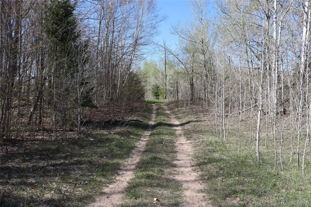 5575 E 26 Mile Road Pickford Township MI 49774