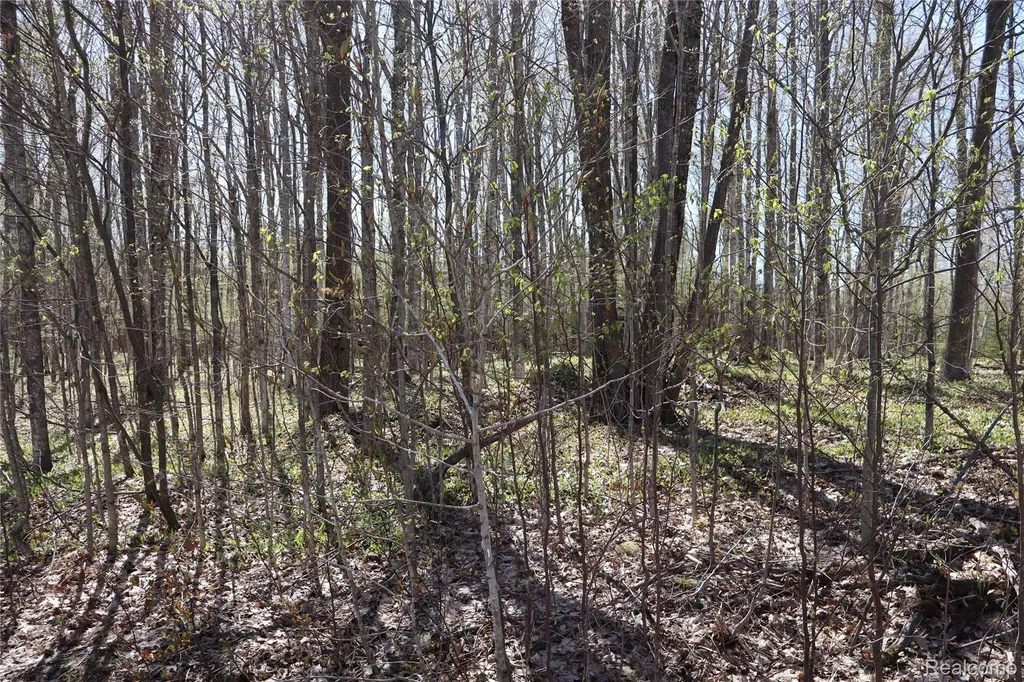 5575 E 26 Mile Road Pickford Township MI 49774