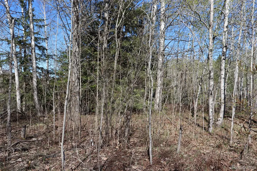 5575 E 26 Mile Road Pickford Township MI 49774
