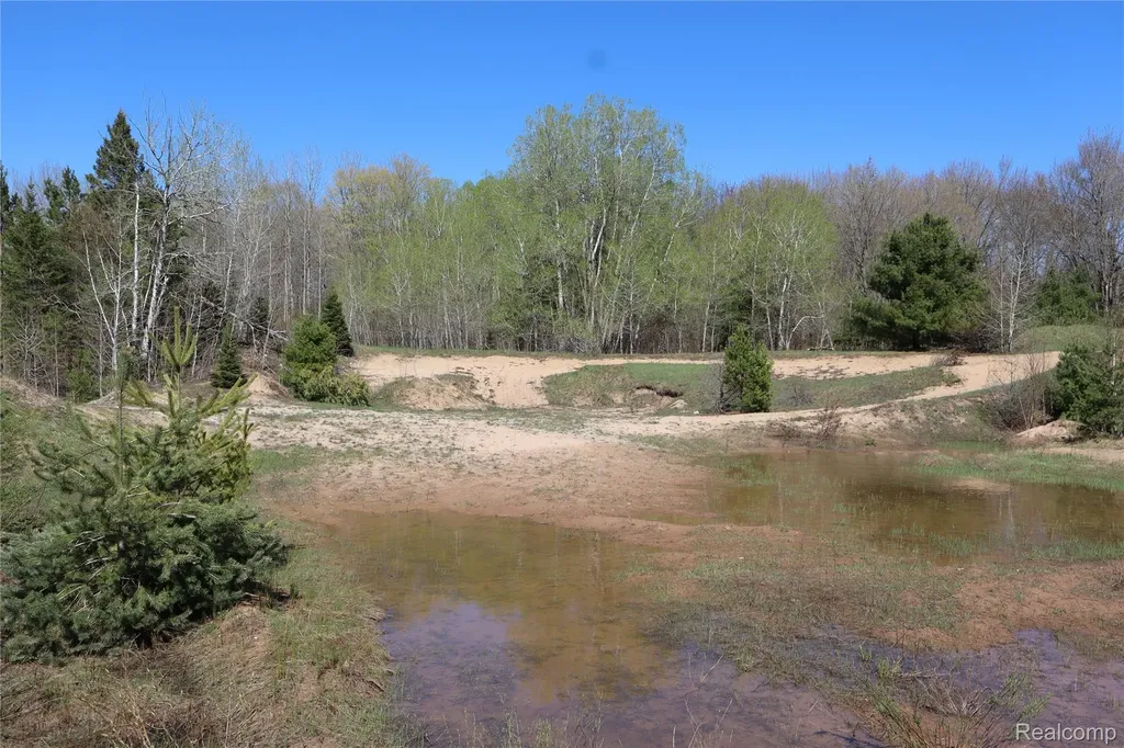 5575 E 26 Mile Road Pickford Township MI 49774