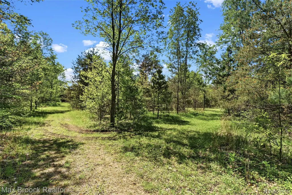 892 W Barnes Lake Road Deerfield Township MI 48421