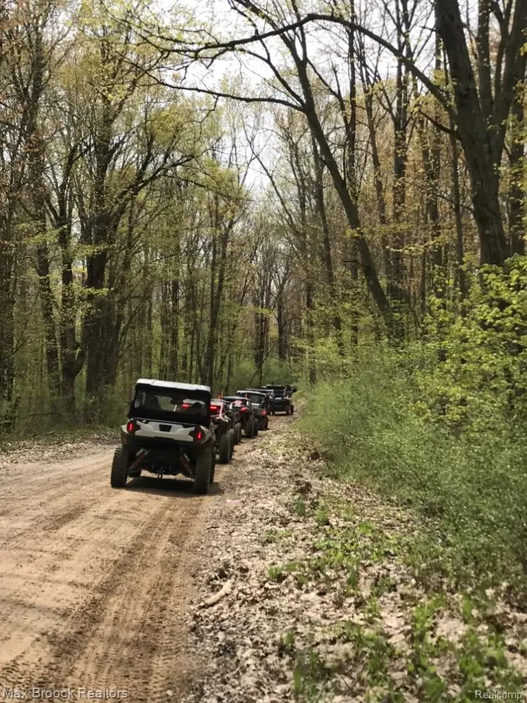 892 W Barnes Lake Road Deerfield Township MI 48421