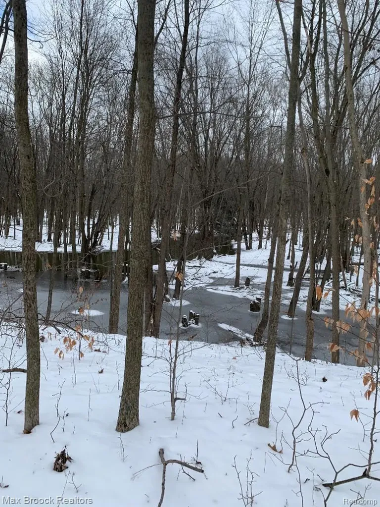 892 W Barnes Lake Road Deerfield Township MI 48421