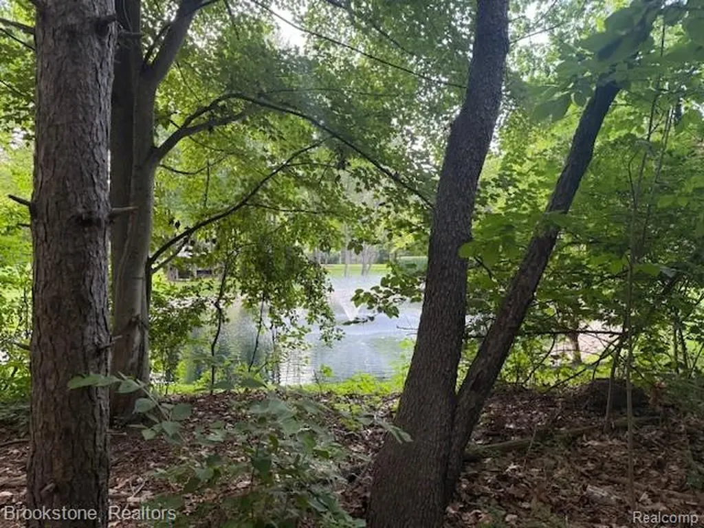 1 Lilac Lane Shelby Charter Township MI 48315