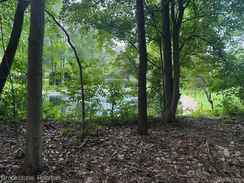 1 Lilac Lane Shelby Charter Township MI 48315