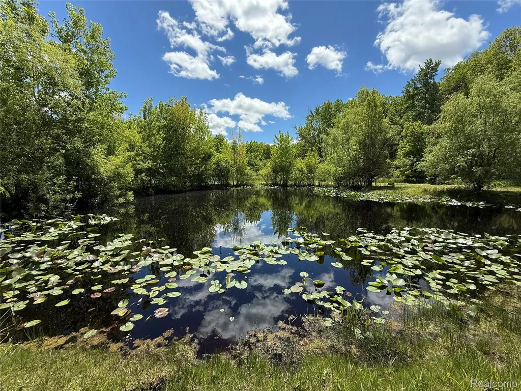 7333 Toma Road Dexter Township MI 48130