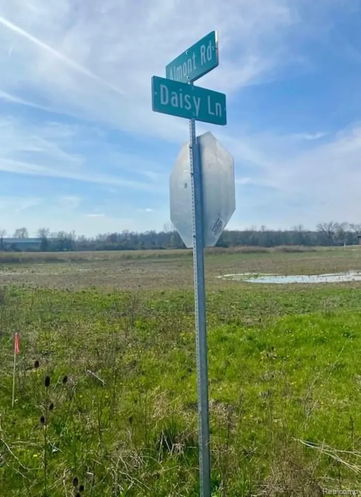 4930 Daisy Lane Almont Township MI 48003