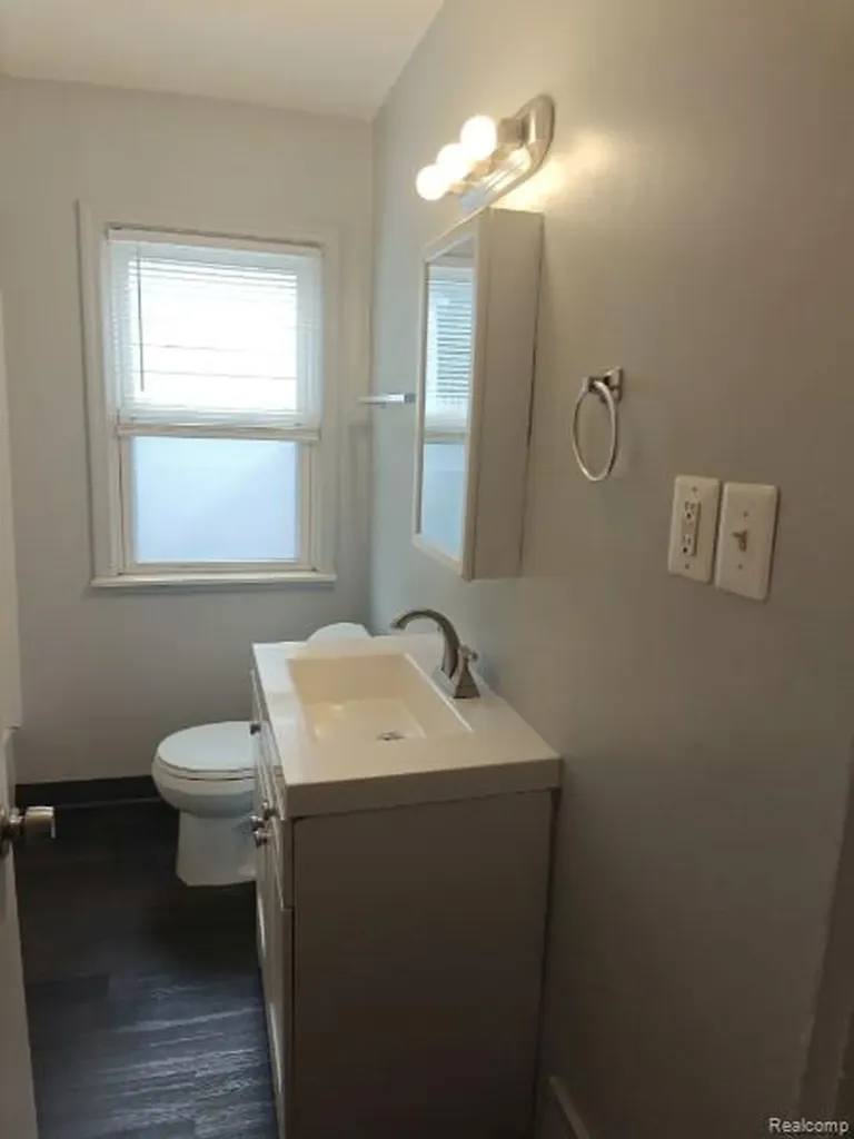 22544 Frisbee Street Detroit City MI 48219