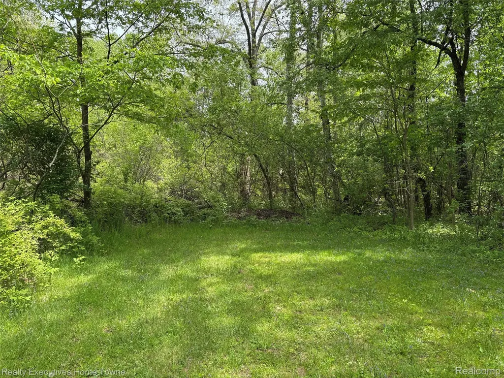 1782 Maple Road Kimball Township MI 48074