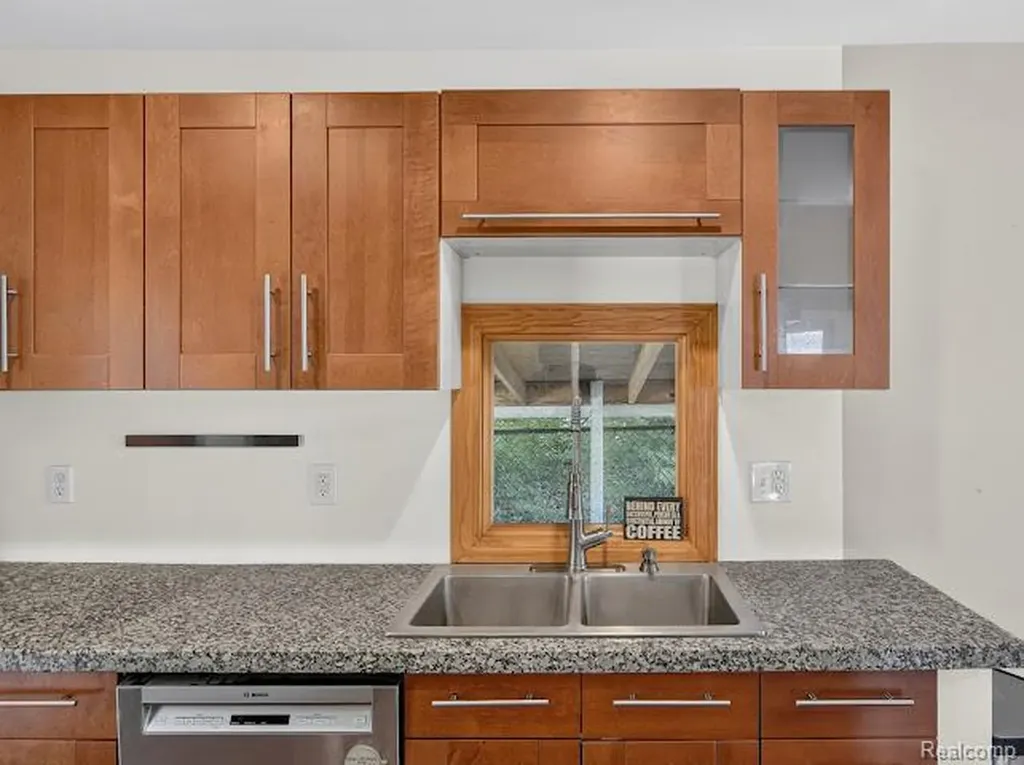 117 W Summit Street Ann Arbor City MI 48103