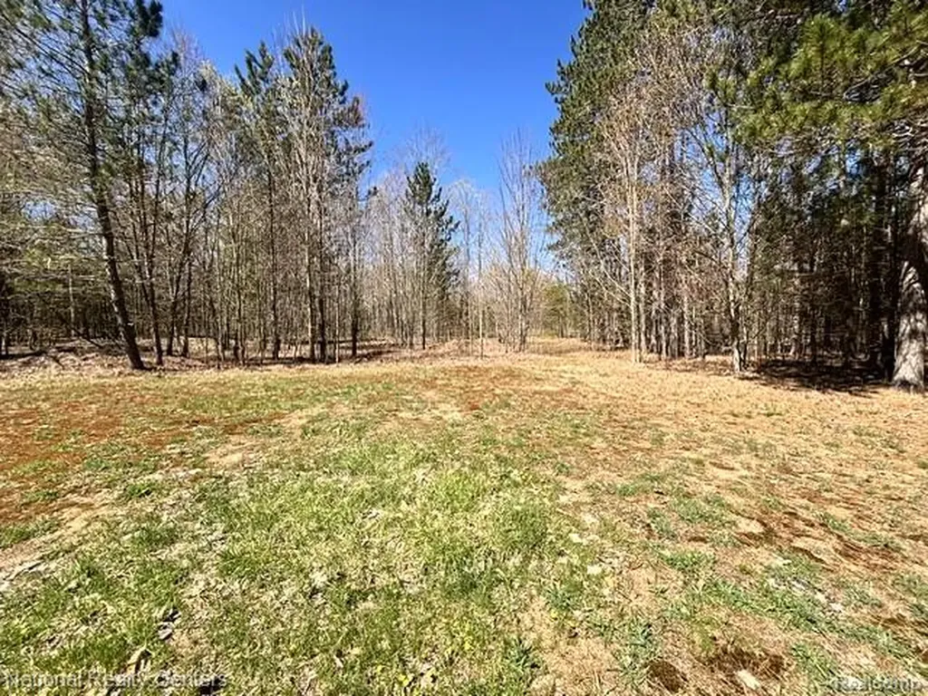 3727 Boardwalk Way NE Rapid River Township MI 49659