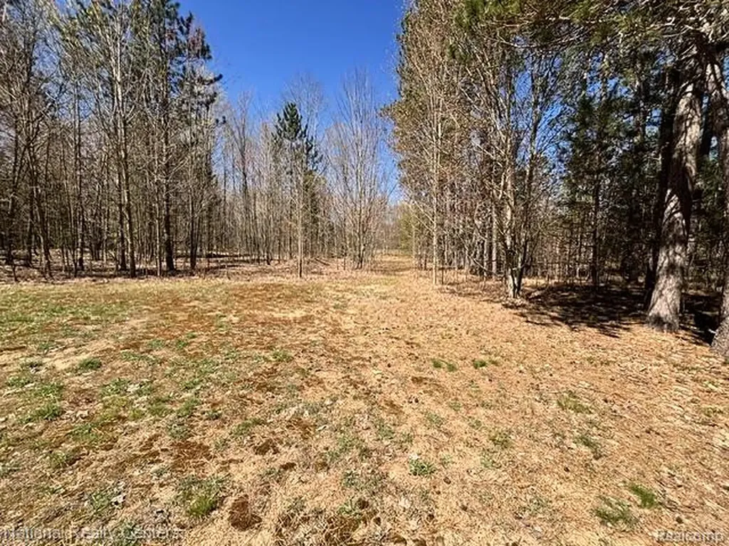 3727 Boardwalk Way NE Rapid River Township MI 49659