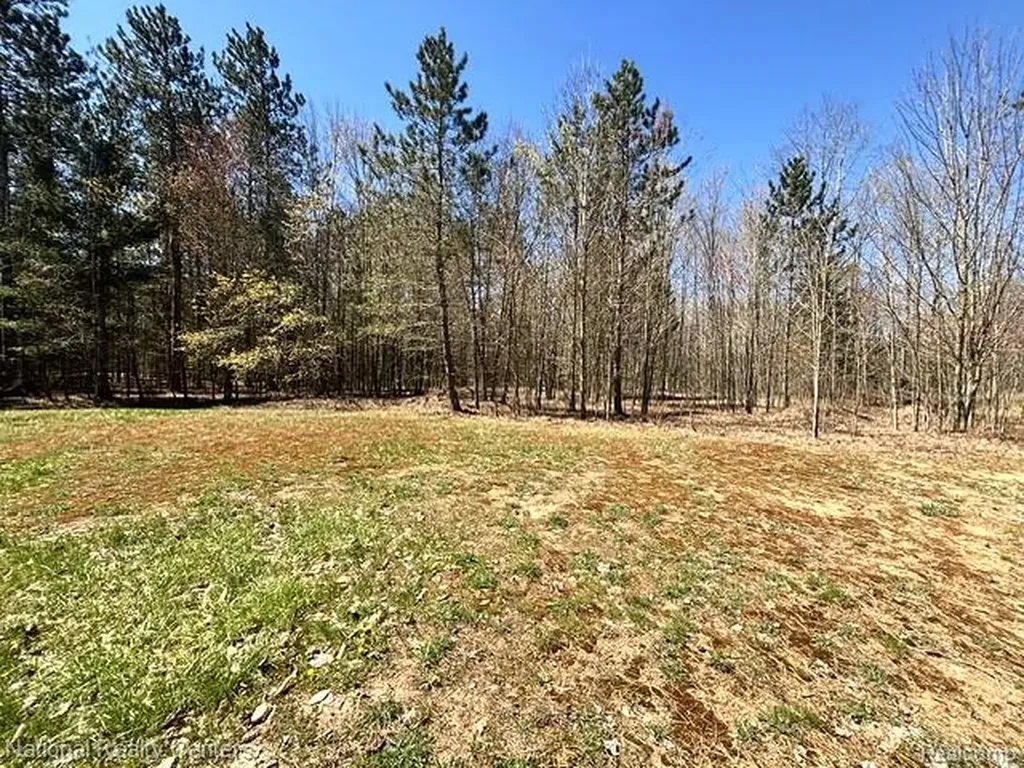 3727 Boardwalk Way NE Rapid River Township MI 49659