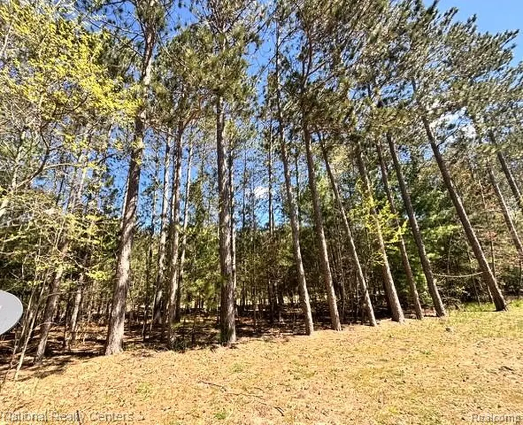 3727 Boardwalk Way NE Rapid River Township MI 49659