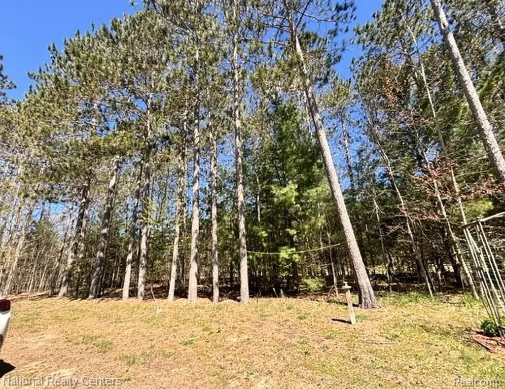 3727 Boardwalk Way NE Rapid River Township MI 49659