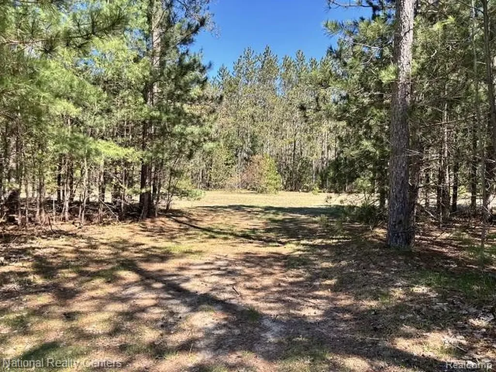 3727 Boardwalk Way NE Rapid River Township MI 49659