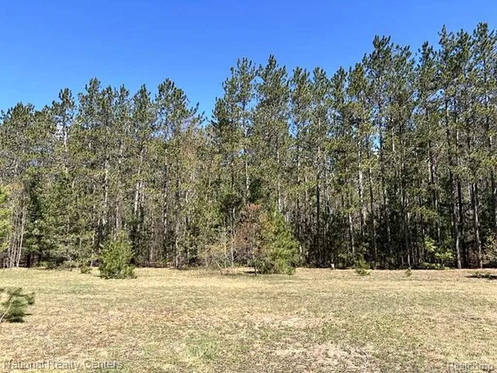 3727 Boardwalk Way NE Rapid River Township MI 49659