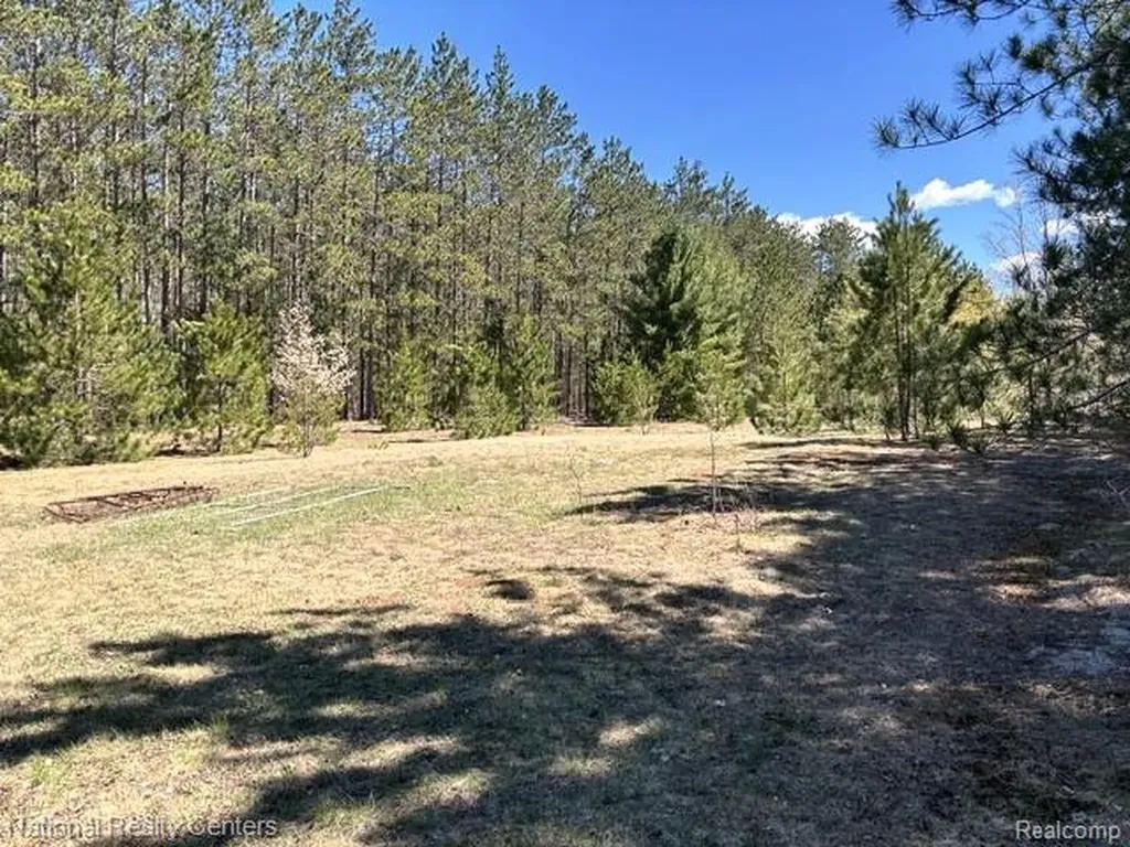 3727 Boardwalk Way NE Rapid River Township MI 49659