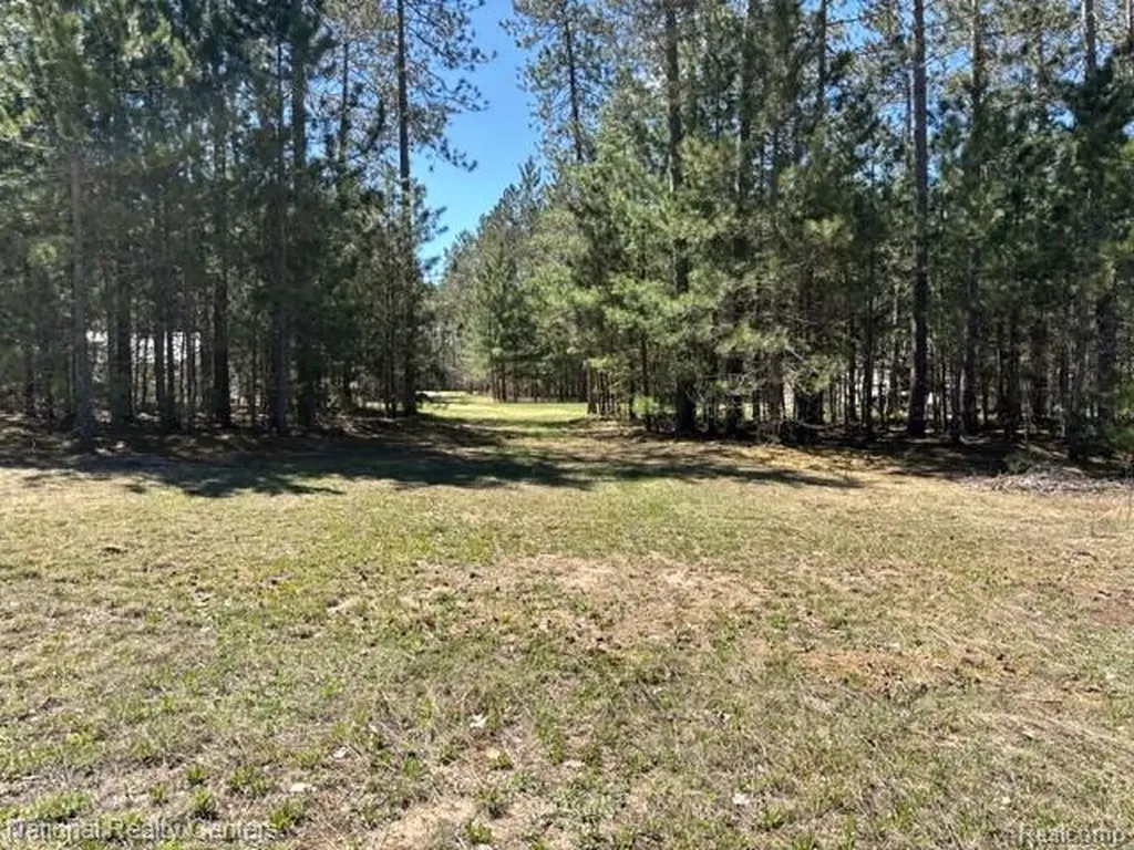 3727 Boardwalk Way NE Rapid River Township MI 49659