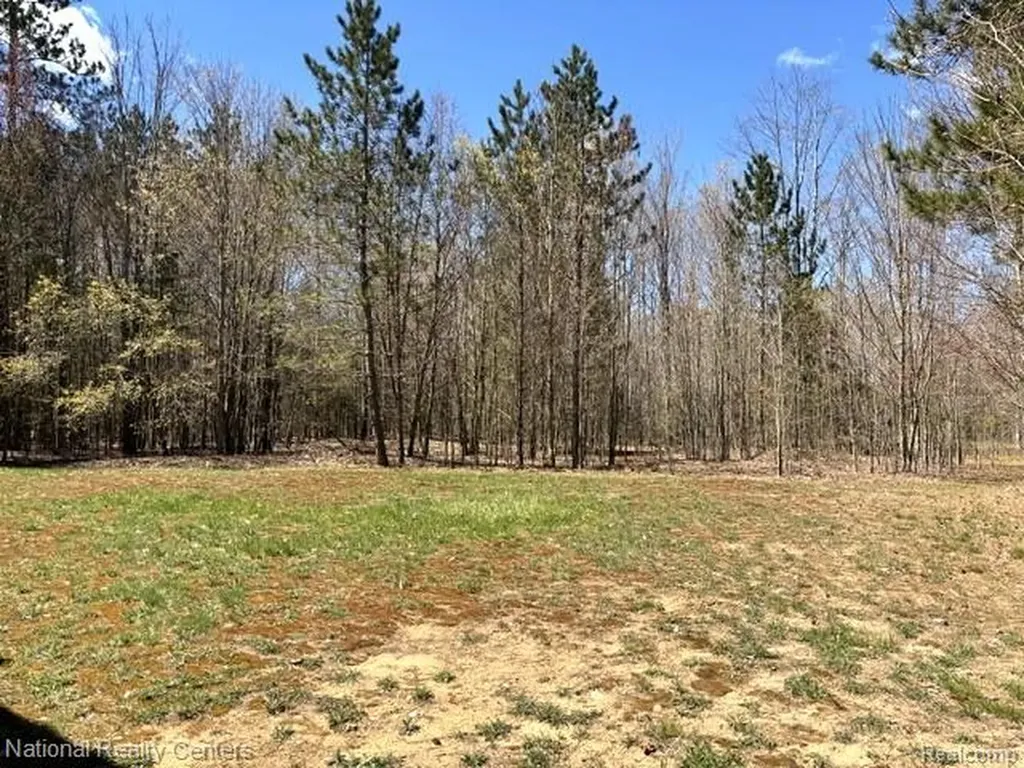 3727 Boardwalk Way NE Rapid River Township MI 49659
