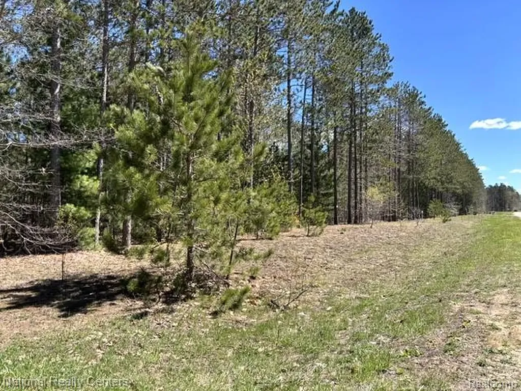 3727 Boardwalk Way NE Rapid River Township MI 49659