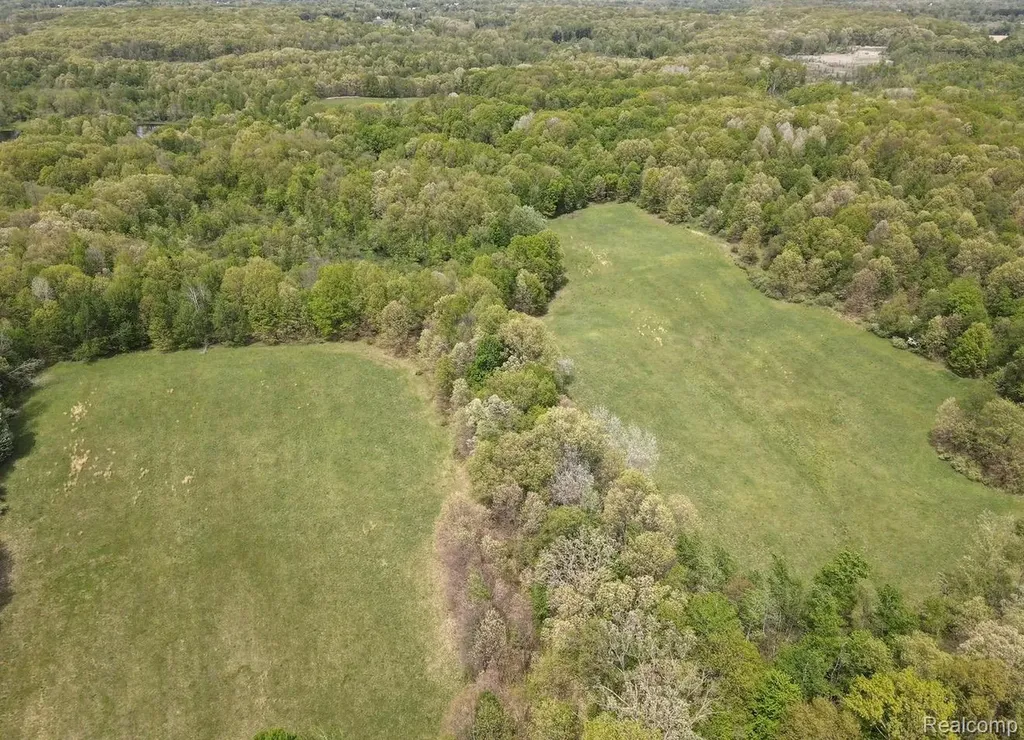 8450 Pepper Road Rose Township MI 48442