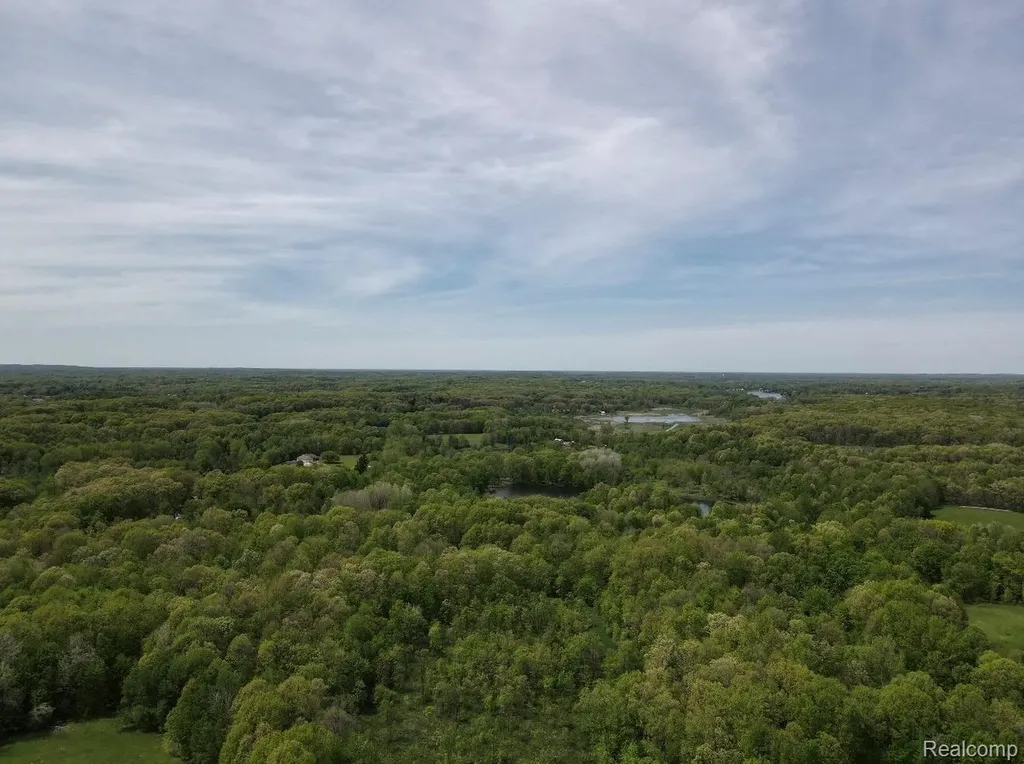 8450 Pepper Road Rose Township MI 48442