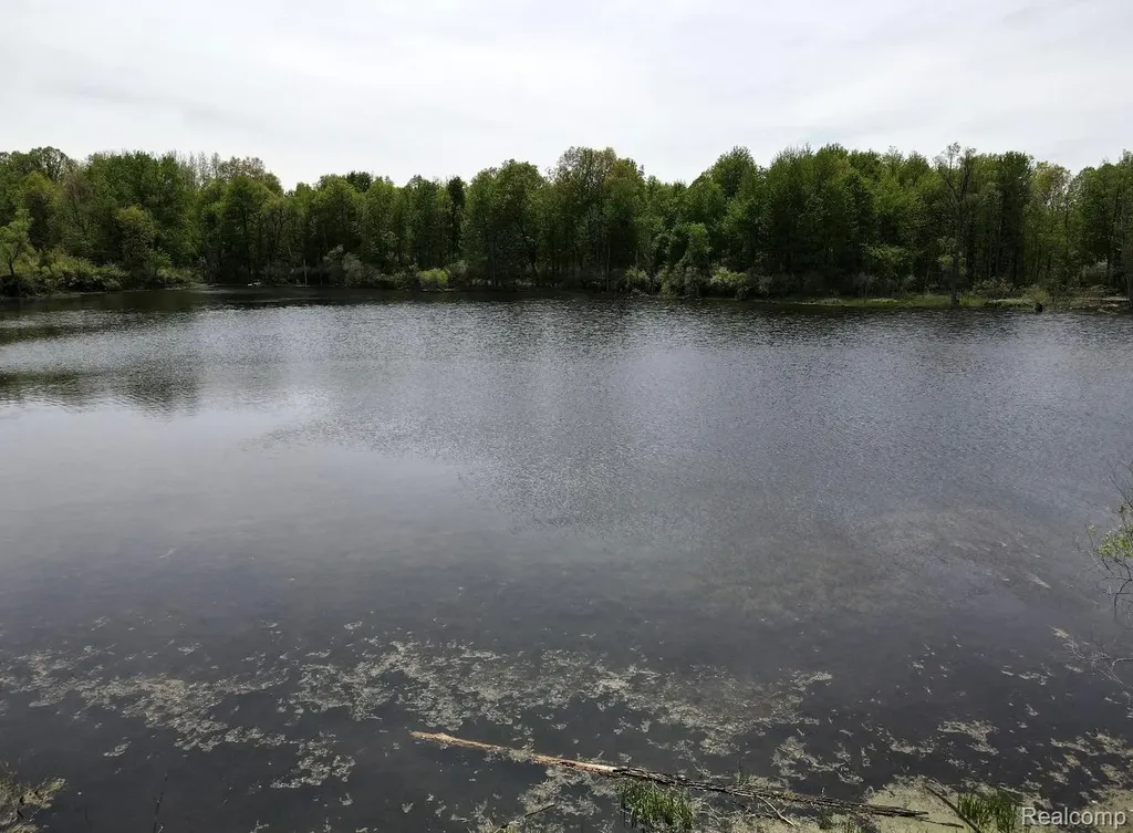 8450 Pepper Road Rose Township MI 48442
