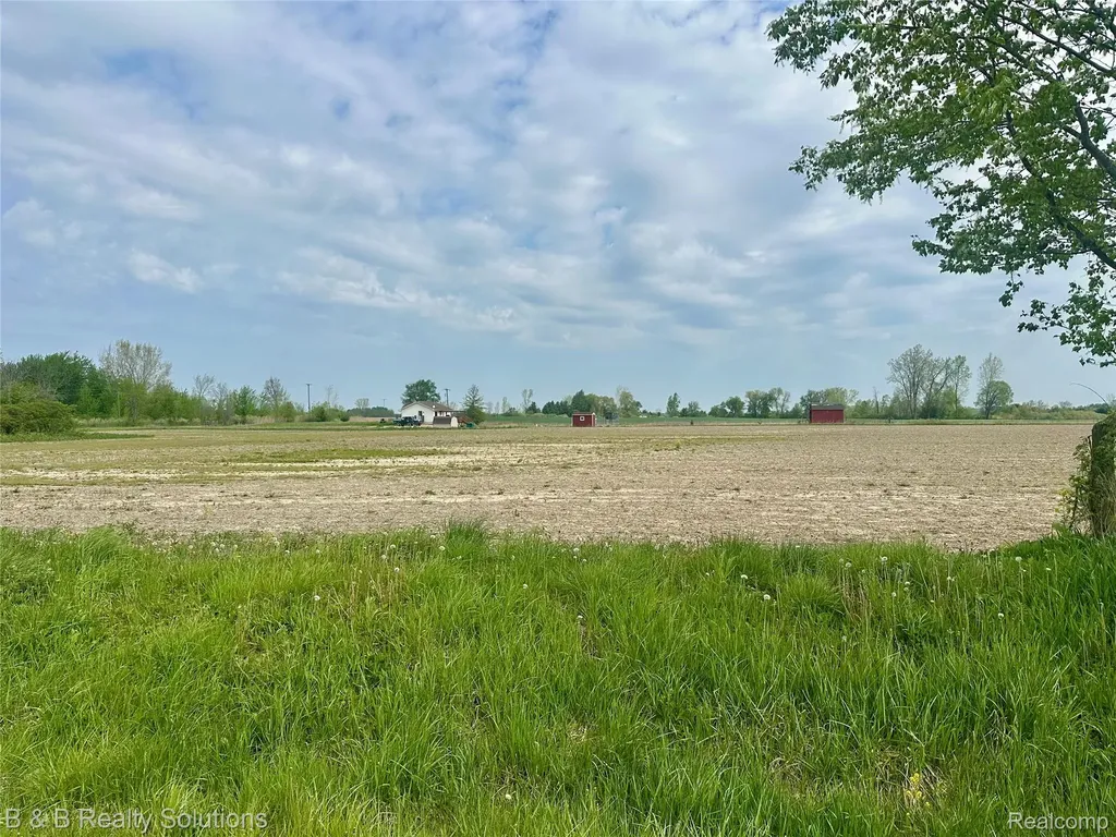00 Millington Road Rich Township MI 48760