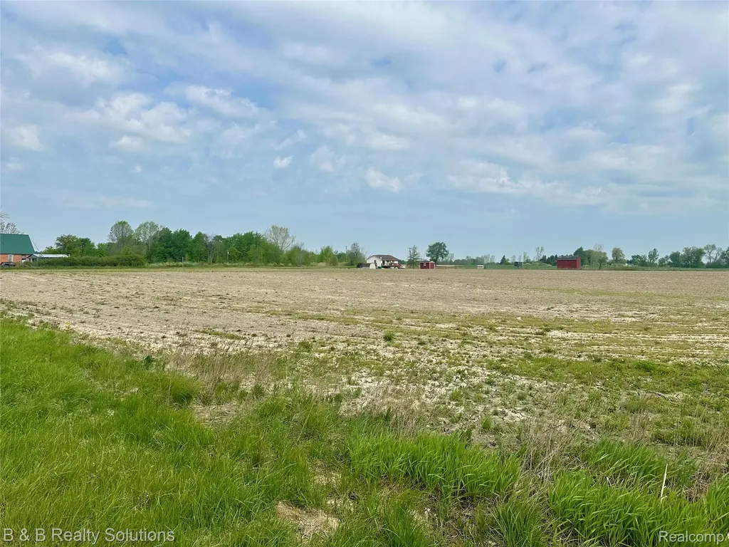 00 Millington Road Rich Township MI 48760