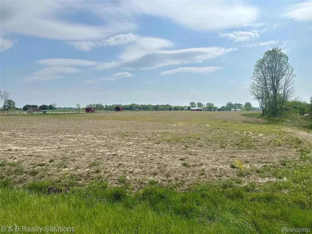 00 Millington Road Rich Township MI 48760