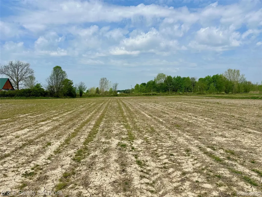 00 Millington Road Rich Township MI 48760