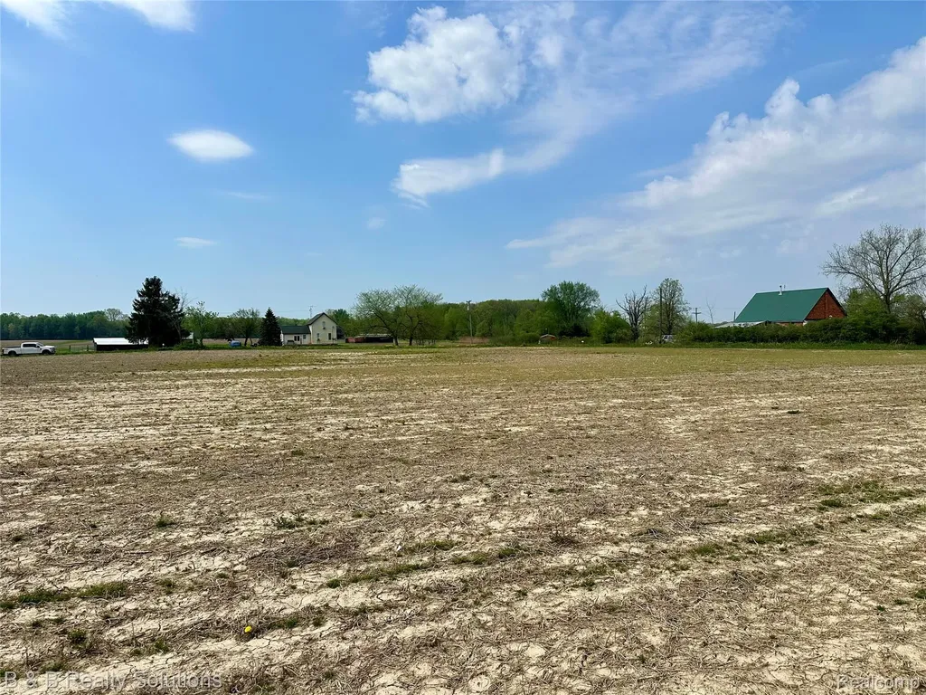 00 Millington Road Rich Township MI 48760