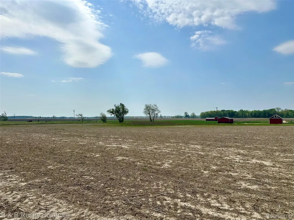 000 Millington Road Rich Township MI 48760