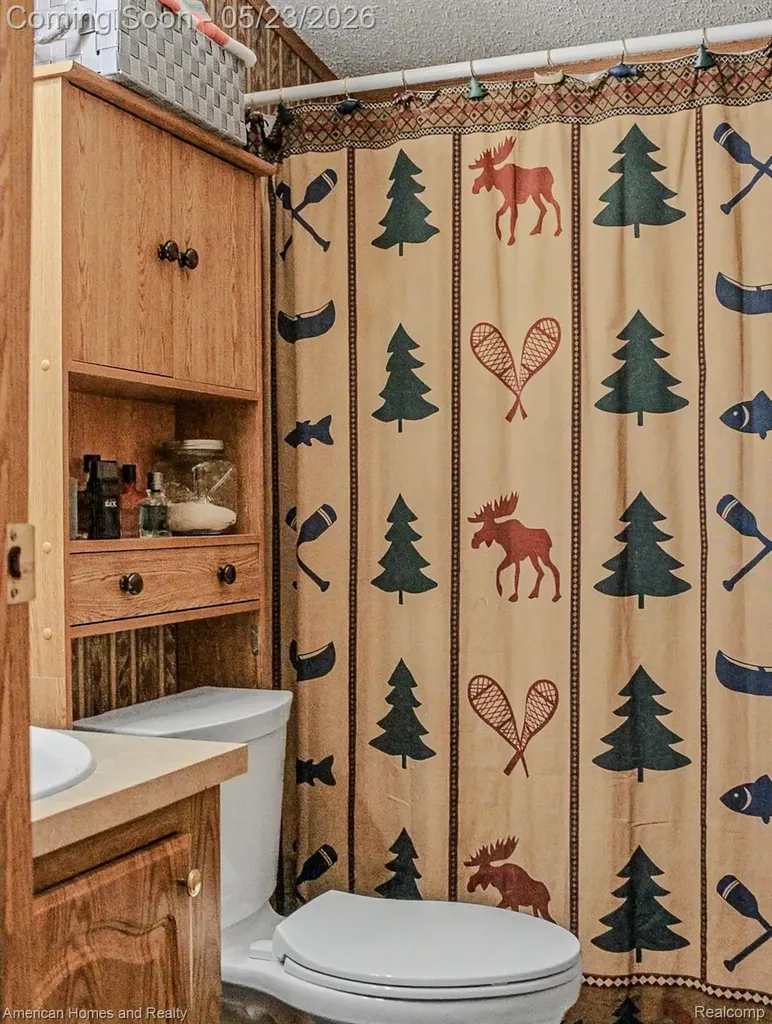 6691 Boone Lane Corwith Township MI 49795